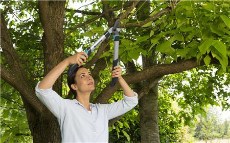 Сучкорез EasyCut 500B Gardena 12002-20.000.00 в Екатеринбурге 