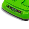 Зарядное устройство Greenworks G40С 2938807 в Екатеринбурге