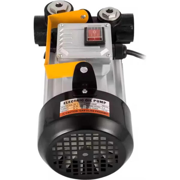 Насос электрический Petropump ACTP 60 для ДТ и керосина  PP220010 в Екатеринбурге