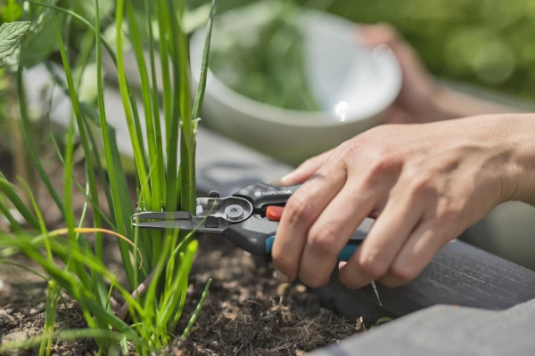 Ножницы для срезания зелени GARDENA GripCut 12213-20.000.00 в Екатеринбурге 