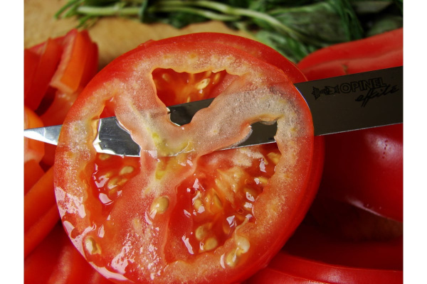 Нож филейный OPINEL 12VRI 000011 в Екатеринбурге 