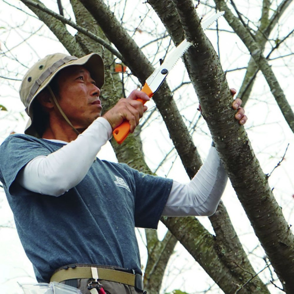 Пила складная Silky Gomboy Curve 210мм, 8зуб/30мм  М00013209 в Екатеринбурге 