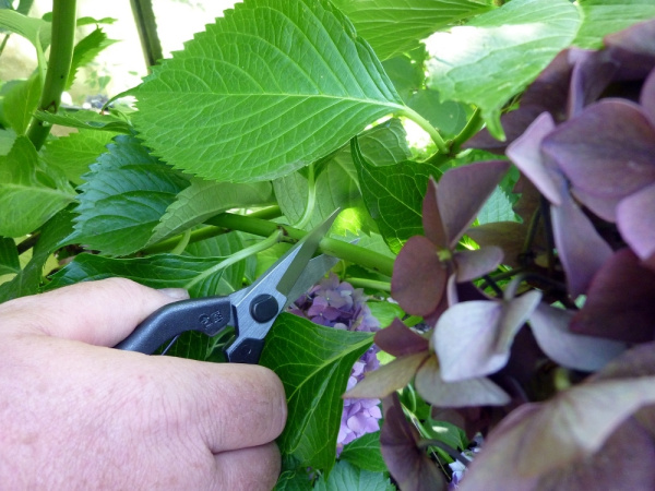 Ножницы Okatsune 207 М00013508/KST207 в Екатеринбурге 