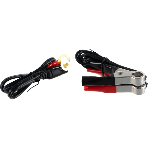 Зарядное устройство  T-CHARGE 20 BOOST 12V/24V Telwin в Екатеринбурге